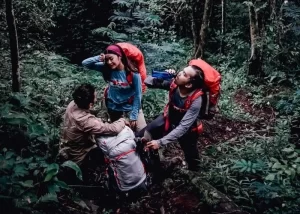 Wisata Hutan Indonesia